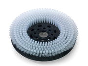 Numatic 606253 Octo High Density Nyloscrub Brush (330mm)