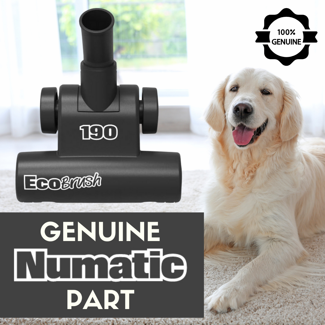 Dog 2024 hoover brush