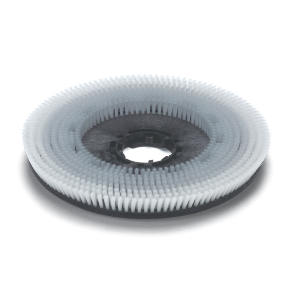 550mm Nyloscrub Brush - 606550 - Numatic