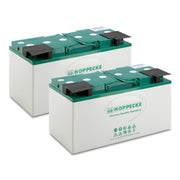 Karcher 2.815-091.0 Battery Kit 24V 115Ah