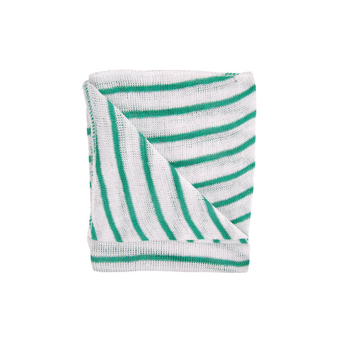 Heavy Duty Catering Kitchen Dish Cloths 35x30cm 10 Pack - Robert Scott