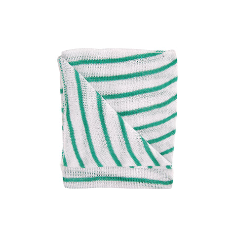 Heavy Duty Catering Kitchen Dish Cloths 35x30cm Green 10 Pack - Robert Scott