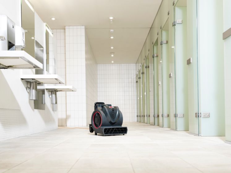 Viper BV30 Air Blower Machine 50000382