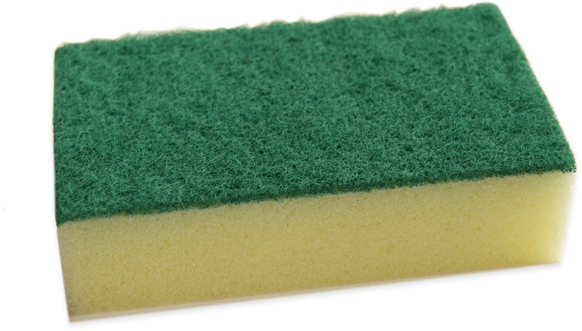 Basics Sponge Scourers 10 Pack - Robert Scott