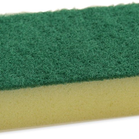 Basics Sponge Scourers 10 Pack - Robert Scott