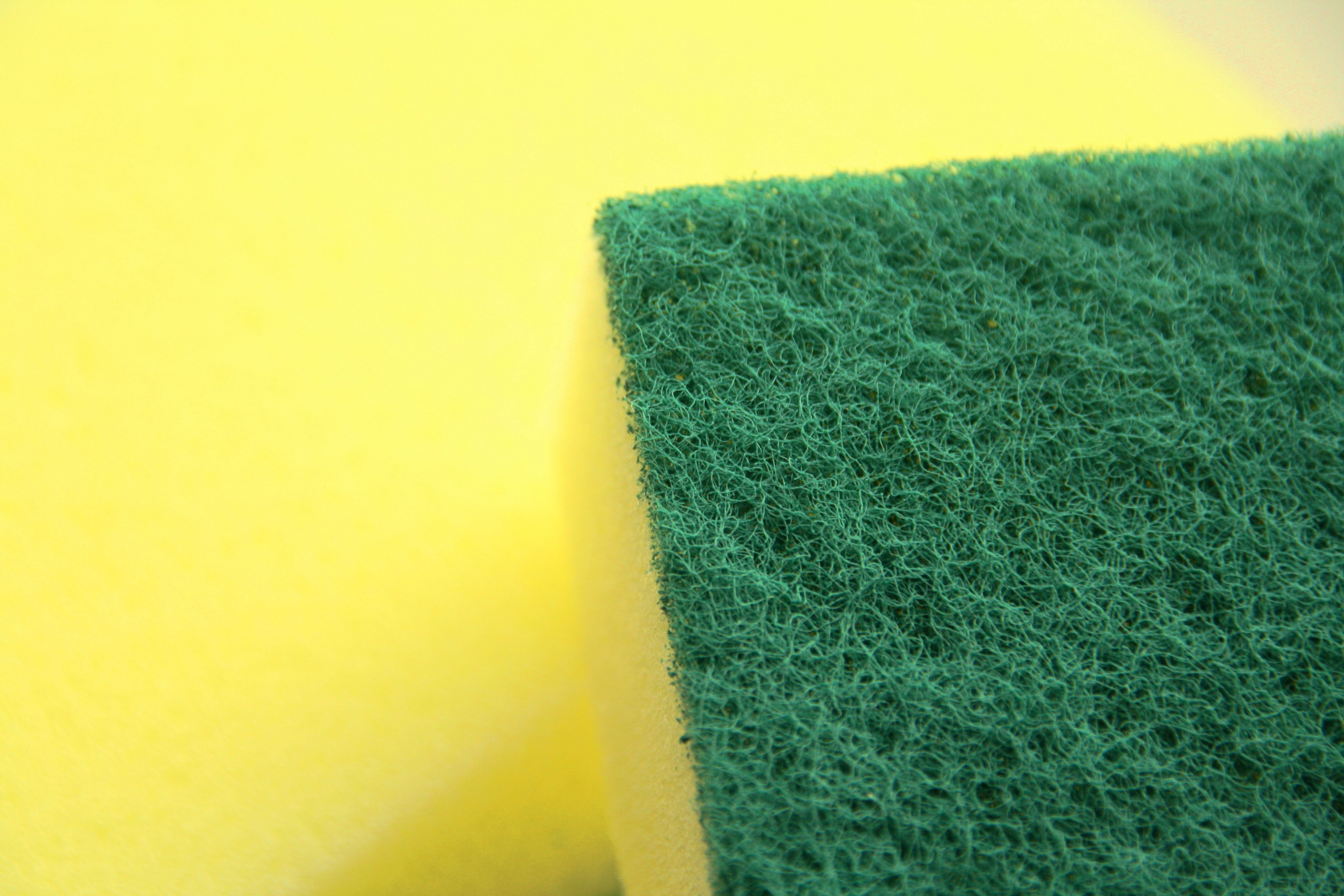 Basics Sponge Scourers 10 Pack - Robert Scott